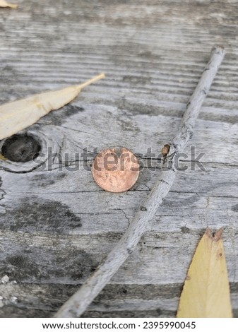 A penny, a stick and two yellow leaves on a picnic bench. close up