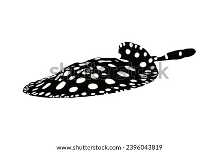 Black and white stingrays (Polkadot ,Black diamond) on isolated white background. Potamotrygon is freshwater stingrays, family Potamotrygonidae native to the rivers of South America.