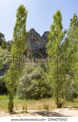 mountain landscape with green vegetation