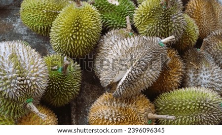 Pile of durian that have been harvested and are ready for sale