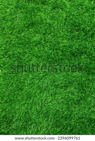 green grass nature texture background