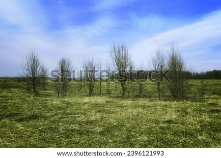 A photo of a grassy field with a line of bare trees in the background.