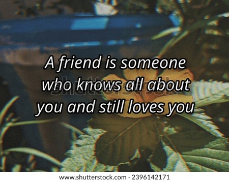 a famous friendship quotes with background