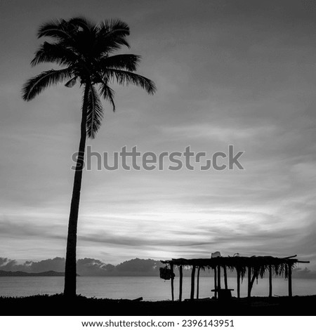 Peaceful scenery. tropical beach during sunrise.. Beautiful nature landscape with Coconut Palm trees and bamboo hut on the ground. black and white photo.