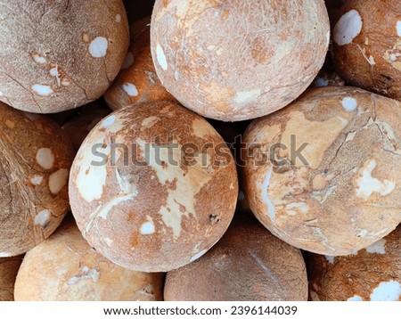 Nature background of a coconut that has been peeled and sold on display at a traditional market. This coconut is used as a cooking ingredient