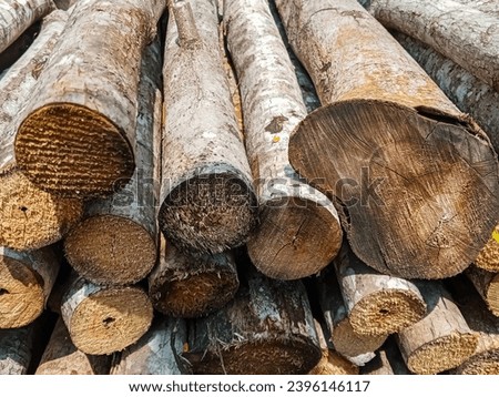 pile of round firewood in preparation for winter. wooden sticks arranged in piles.