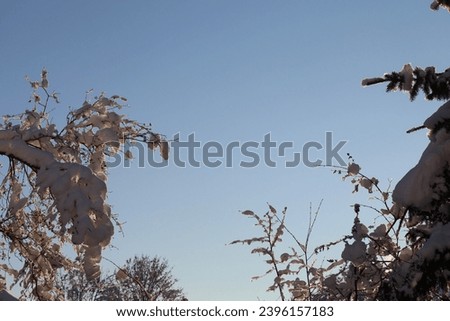 Snow in the sun on the nature of the Schwäbische Alb