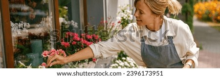 Female florist taking care of houseplant in flower shop. Plant care concept. High quality photo