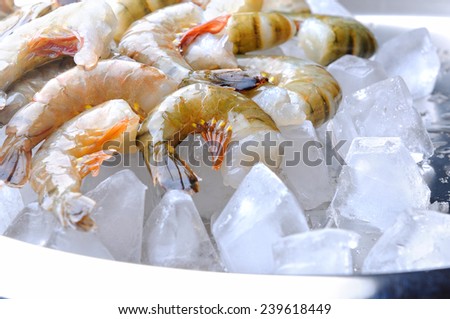 Fresh tiger shrimps with ice