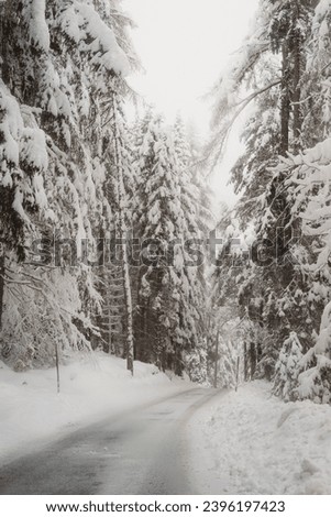 
Snowy road, snowy landscape. Winter picture.