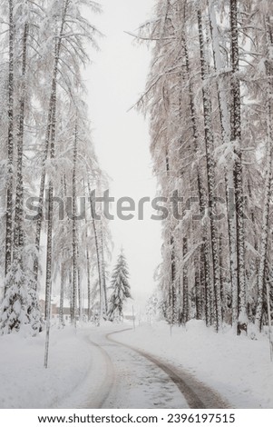 
Snowy road, snowy landscape. Winter picture.