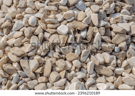 Small white Pebble stones including occasional cream inclusions closeup. Pebbles with a beautiful white color which will helps to ensure a bright modern garden. Design exterior. Construction materials Royalty-Free Stock Photo #2396210189