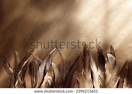 Bright gold feather texture. Overhead top view, flat lay. Copy space. Birthday card, Mother's, Valentines, Women's, Wedding Day concept. Selective focus