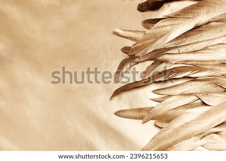 Bright gold feather texture. Overhead top view, flat lay. Copy space. Birthday card, Mother's, Valentines, Women's, Wedding Day concept. Selective focus