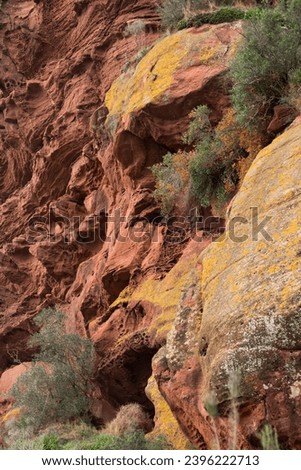 Red sandstones formations in the Areny mountain in Mont-Roig, Tarragona, Catalonia, Spain. Textures natural background.