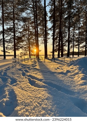 Winter wonderland image from Finland on a cold December afternoon during beautiful sunset. Cold day with snowy ground. Freezing temperature for outdoor activities.