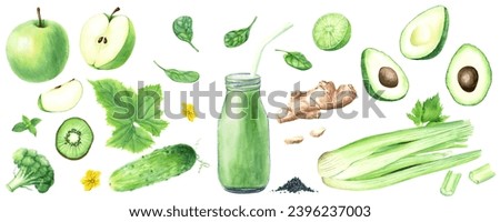 Big set of fruits, vegetables and seeds for green smoothies. Watercolor food illustration. For clip art cards menu label