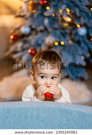 A Joyful Little Boy in Front of a Festive Christmas Tree. A little boy sitting in front of a christmas tree