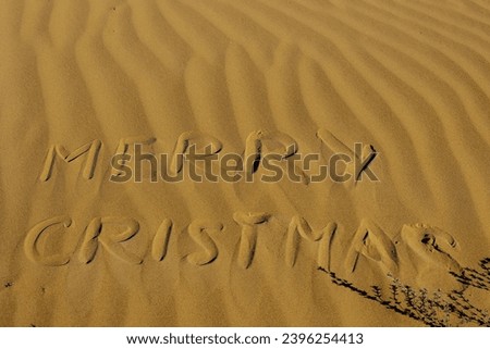 Merry Christmas message written imperfectly in golden sand with wavy patterns and a small plant casting a shadow.