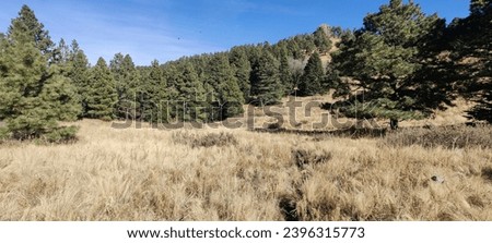 View at home in Alto NM Royalty-Free Stock Photo #2396315773
