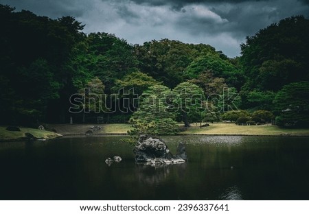 Garden summer pitcture at tokyo