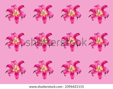 Pink background with ilium flowers Royalty-Free Stock Photo #2396421115