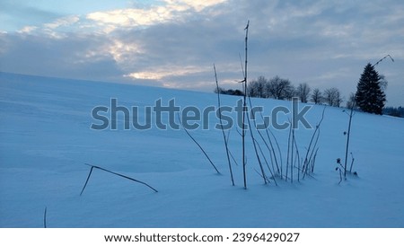 A landscape under a blanket of freshly fallen snow at the beginning of the winter season in the Czech Republic.