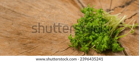 cress sprouts (Lepidium sativum) ion a wooden background Royalty-Free Stock Photo #2396435241