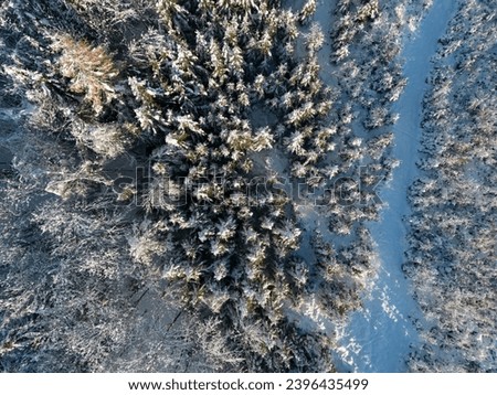Aerial view of a snow-covered winter wonderland forest in southern Bavaria, Germany