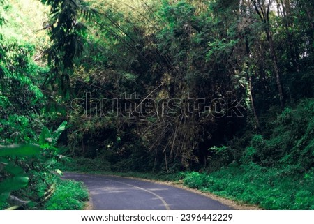 The background of the mountain road has many kinds of large trees, green grass, and the wind blows past in a blur. The weather is cool and comfortable throughout your adventure travel.