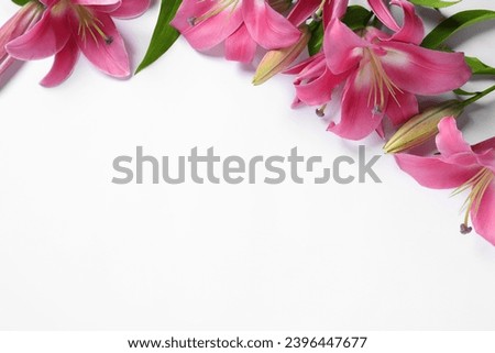 Beautiful pink lily flowers on white background, flat lay. Space for text Royalty-Free Stock Photo #2396447677