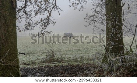 winter walks in the Surrey Hills Royalty-Free Stock Photo #2396458321