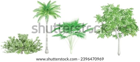 Lonicera pileata,Lodoicea maldivica,Cocos nucifera,Citrus limon trees and shrubs in summer isolated on white background. Forestscape. High quality clipping mask. Forest and green foliage