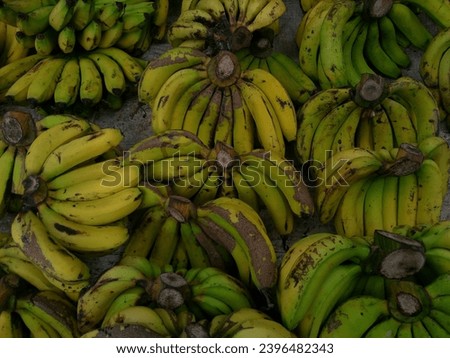 fresh banana ripe no edit real pict