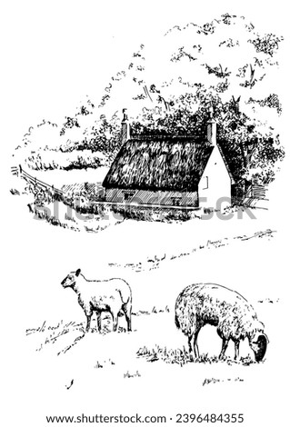 Rural scenery. Meadow, alkali, lye, grassland, pommel, lea, pasturage, farm. Vector sketch illustration Royalty-Free Stock Photo #2396484355