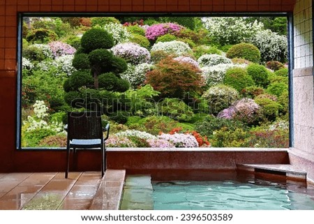 Hot spring in beautiful nature Royalty-Free Stock Photo #2396503589