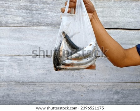 photo of hand holding a bag of raw fish