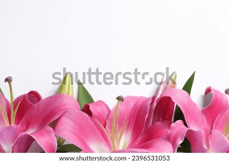 Beautiful pink lily flowers on white background, top view. Space for text Royalty-Free Stock Photo #2396531053