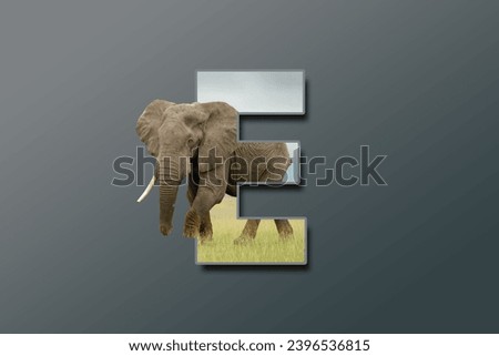 The letter E is embedded with a picture of the animal Elephant. Great animal background.