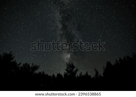 Milky Way Galaxy over the forest. Starry night background.