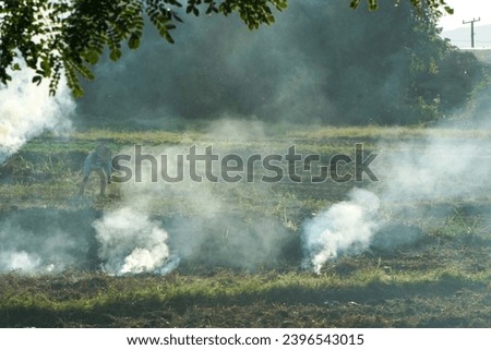 Farmer is preparing rice field for the next round by burning organic waste causing PM 2.5. Royalty-Free Stock Photo #2396543015