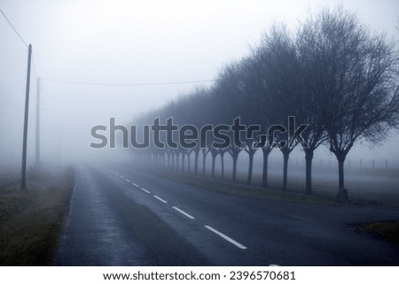 exterior photo view during winter of a road path under a fog foggy mist misty dark gray day with nobody making it scary scare mysterious with its trees