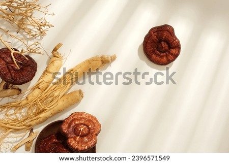 View from above of lingzhi mushrooms and ginseng roots displayed on a white background. Blank space for presentation. Scene for medicine advertising, photography traditional medicine content