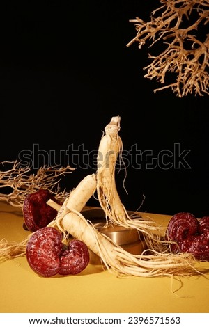 Scene for medicine advertising, photography traditional medicine content with lingzhi mushrooms and ginseng roots on black background. Front view, these herbs provide many health benefits