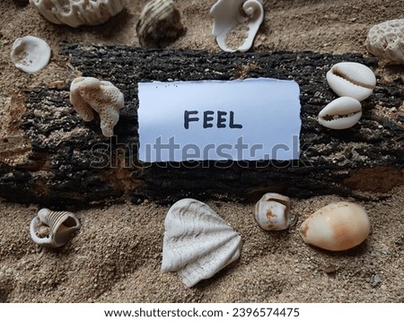 Feel writing on beach sand background.