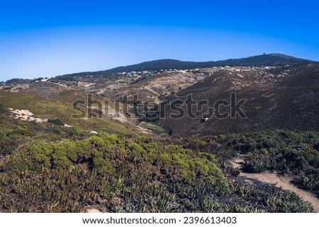 A valley in the mountains of Portugal, overgrown with grass, various plants and trees. Greenish and brown tones.
