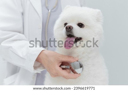 The pet doctor examined the puppy