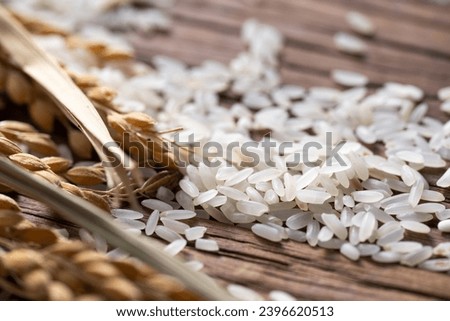 Basic food rice food rice basic food