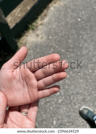 The top down view of a young boy with an inchworm crawling on his hand. Royalty-Free Stock Photo #2396634529