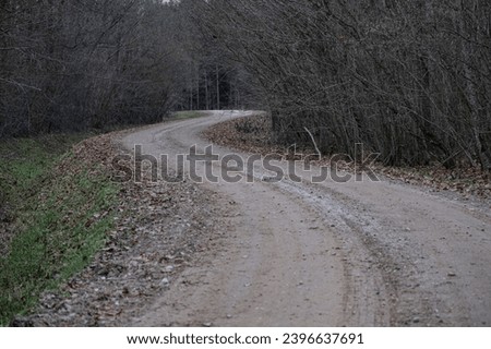 wet forest sand and gravel road in late autumn. Ugly cold weather month before white Christmas